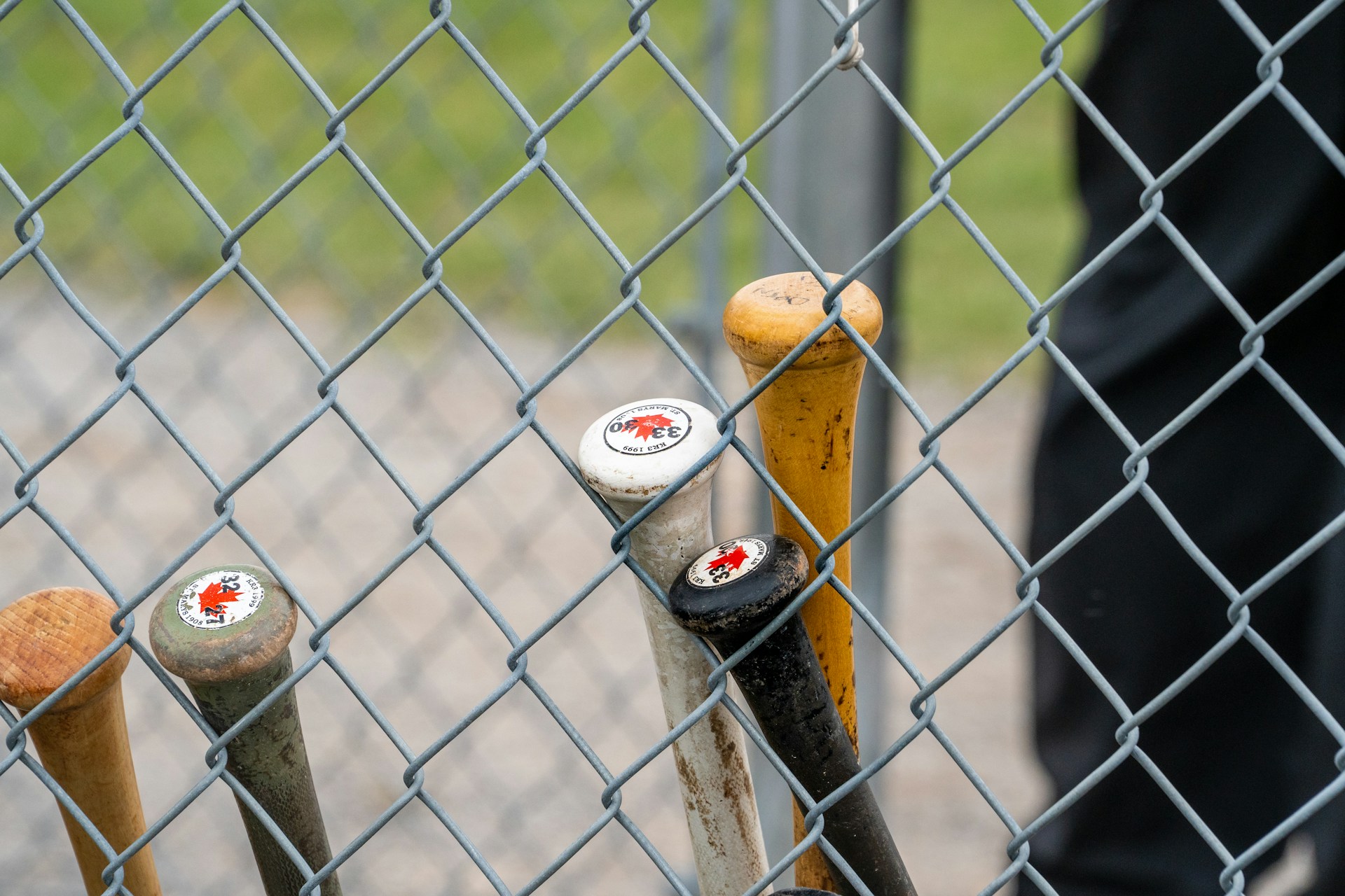 Five baseball bats leaning against a chain link fence