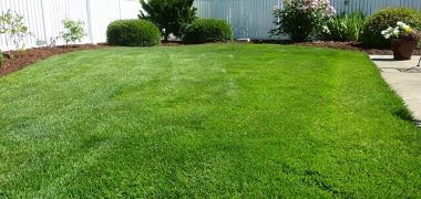 white vinyl fence surrounding lush lawn