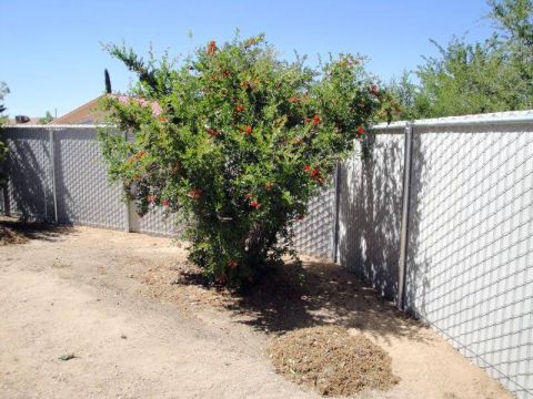 Chain Link Fence Privacy Inserts
