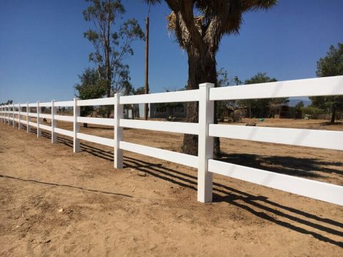 stunning white ranch-style fence beside tree