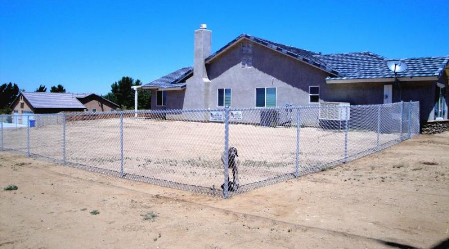 Best Dog Fence Options All American Fence Erectors