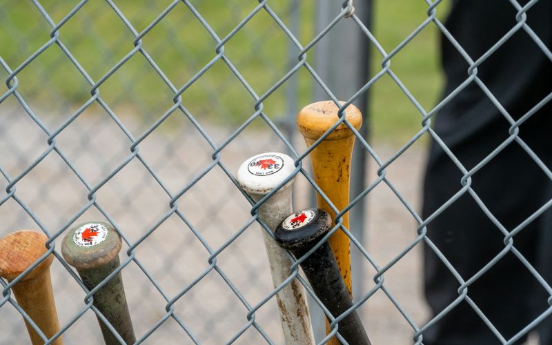 Five baseball bats leaning against a chain link fence